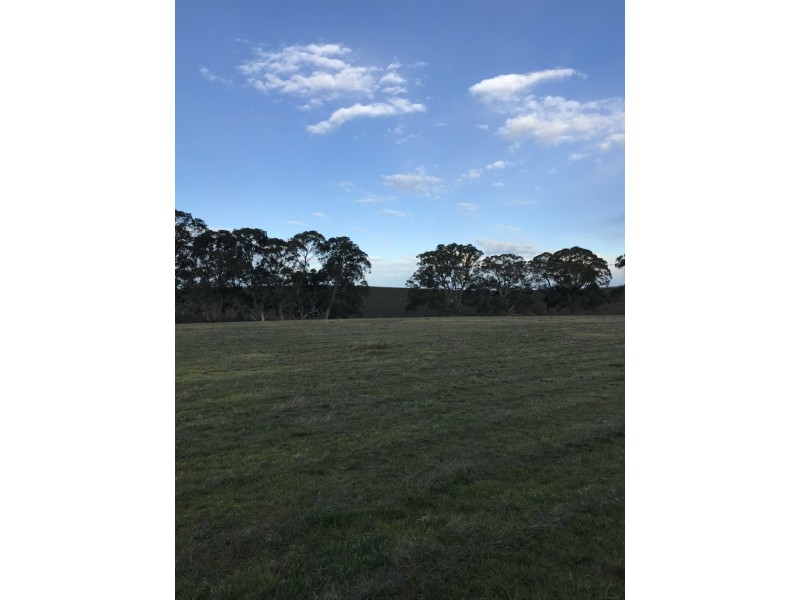 Lot 300 Burra Street, Mintaro SA 5415