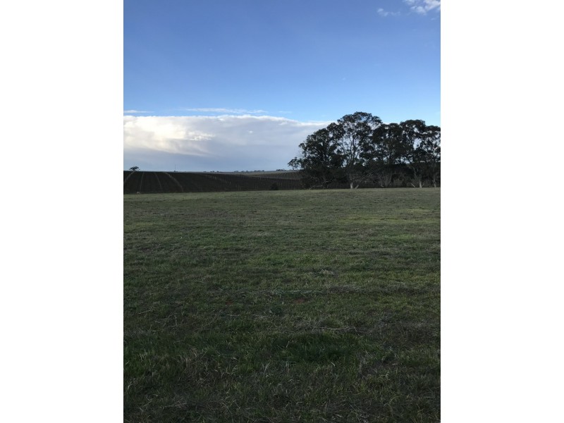 Lot 300 Burra Street, Mintaro SA 5415