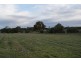 Lot 300 Burra Street, Mintaro SA 5415