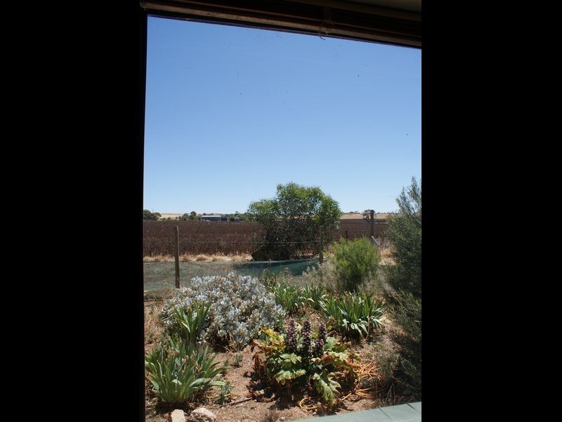 6023 Thiele Highway, Eudunda SA 5374