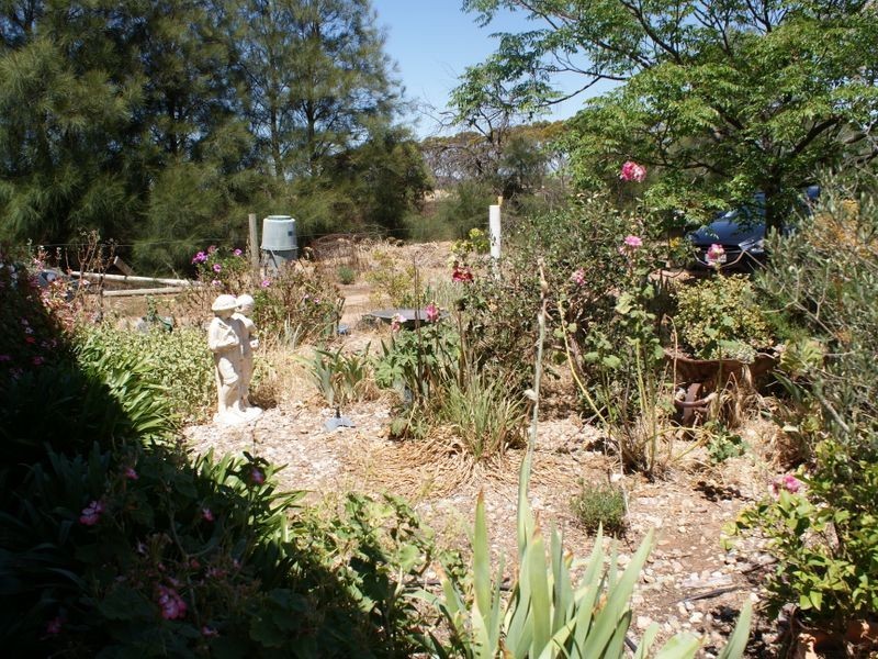 6023 Thiele Highway, Eudunda SA 5374