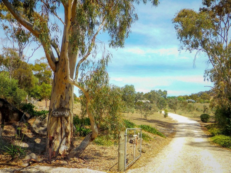 24 Morrison Road, Penwortham SA 5453