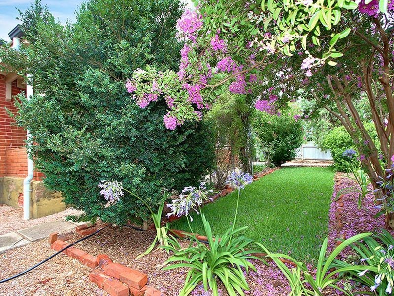 5 Young Street, Clare SA 5453