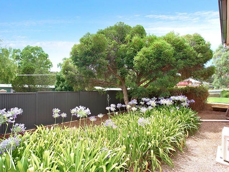 5 Young Street, Clare SA 5453