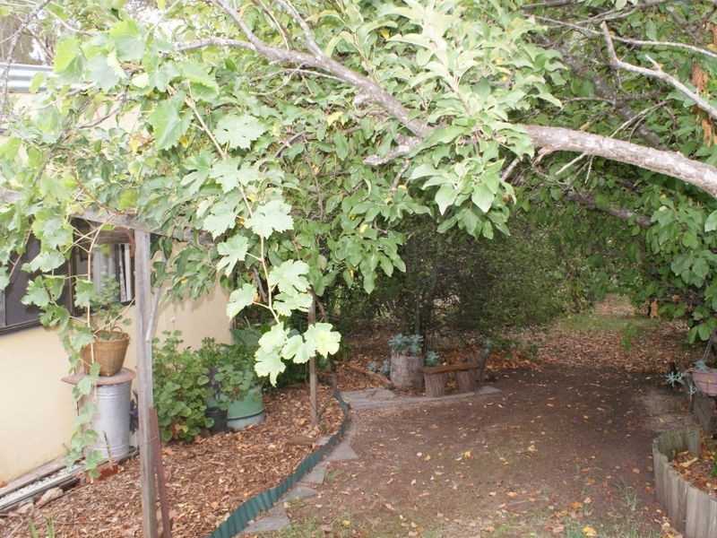 56 Victoria Road, Clare SA 5453