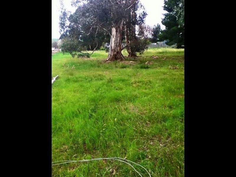 Lot 43 / 4 Hartley Street, Spalding SA 5454