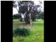Lot 43 / 4 Hartley Street, Spalding SA 5454