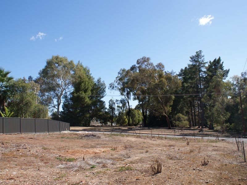 6 Young Street, Clare SA 5453