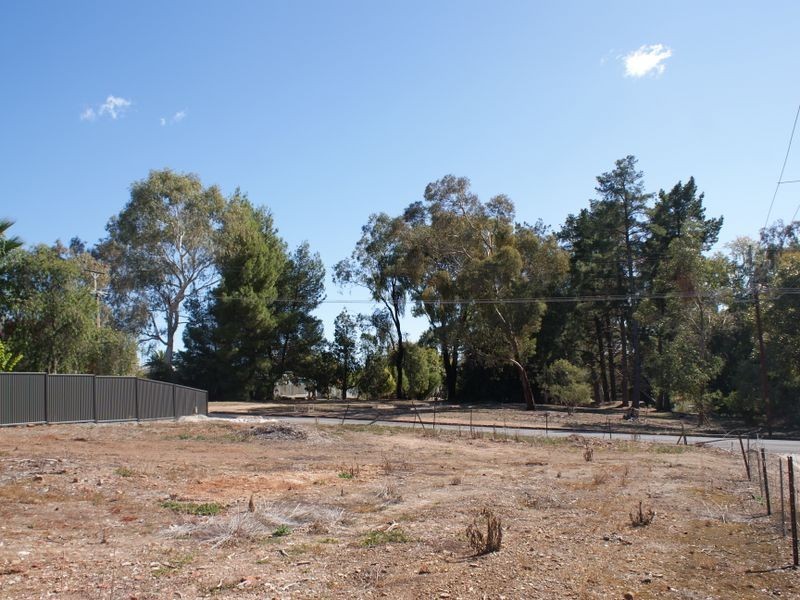 6 Young Street, Clare SA 5453