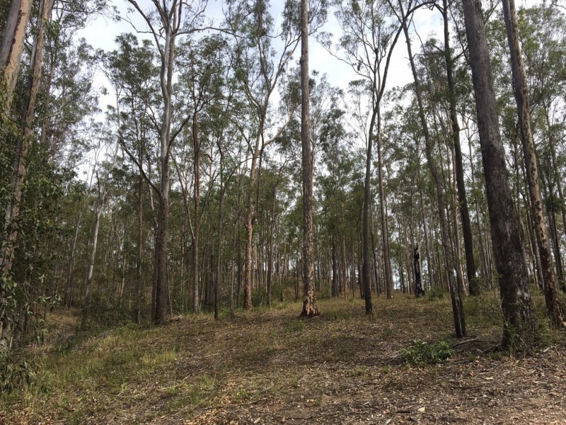 Lot 1/3 Shea Road, Kurwongbah QLD 4503