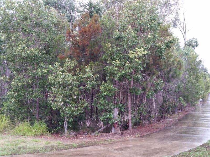 77 Omara Road, Narangba QLD 4504