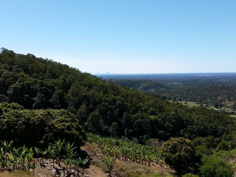 69A Praise Mountain Road, Narangba QLD 4504