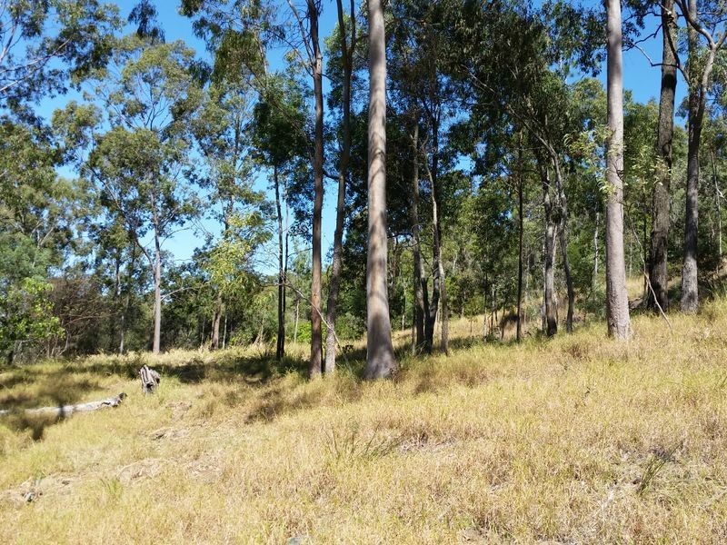 69A Praise Mountain Road, Narangba QLD 4504