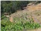 69A Praise Mountain Road, Narangba QLD 4504