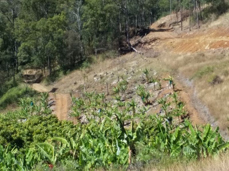 69A Praise Mountain Road, Narangba QLD 4504