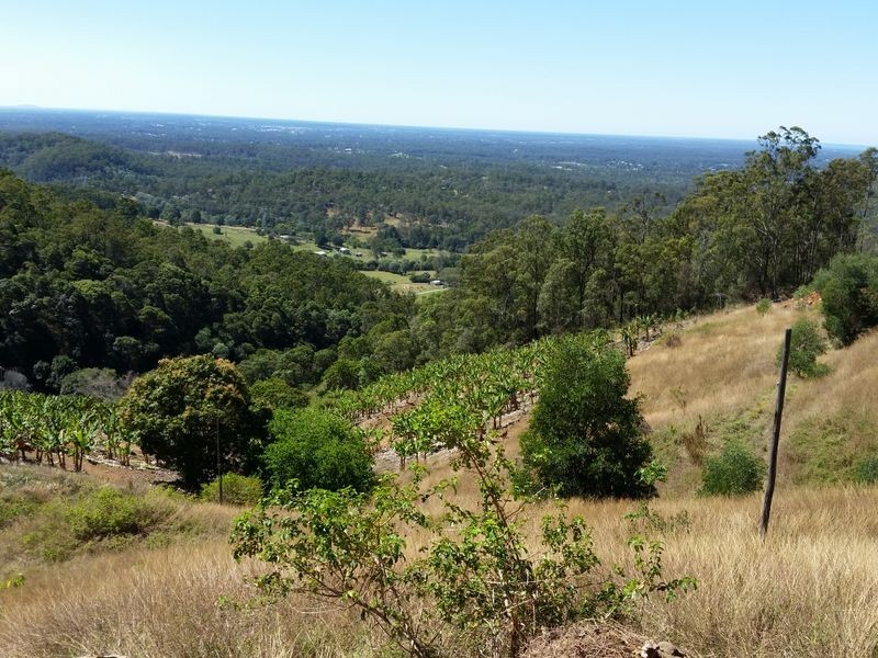 69A Praise Mountain Road, Narangba QLD 4504