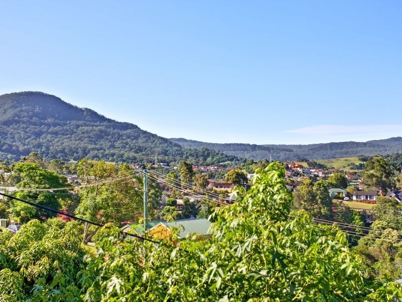 53 Iola Avenue, Farmborough Heights NSW 2526