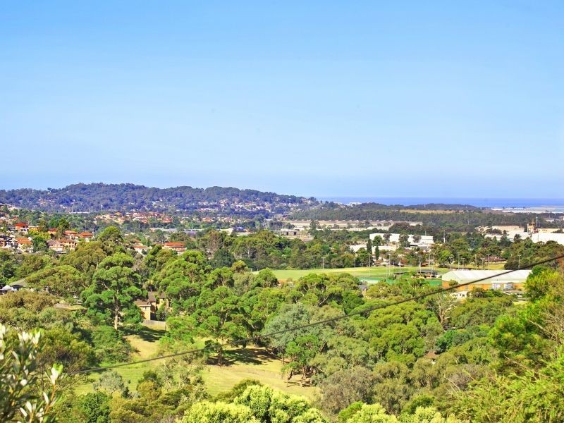 53 Iola Avenue, Farmborough Heights NSW 2526