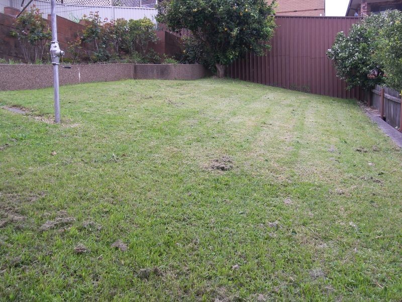 13 White Place, Figtree NSW 2525