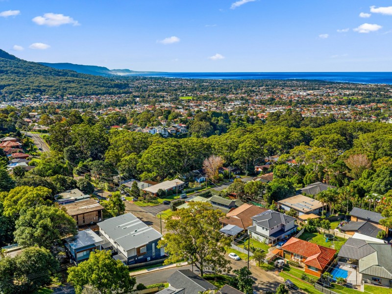 202 Brokers Road, Mount Pleasant NSW 2519