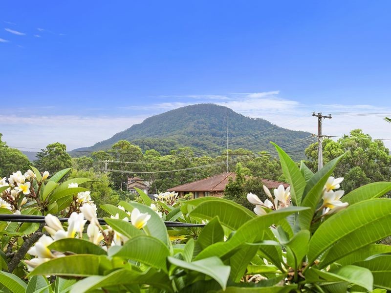 105 Iola Avenue, Farmborough Heights NSW 2526