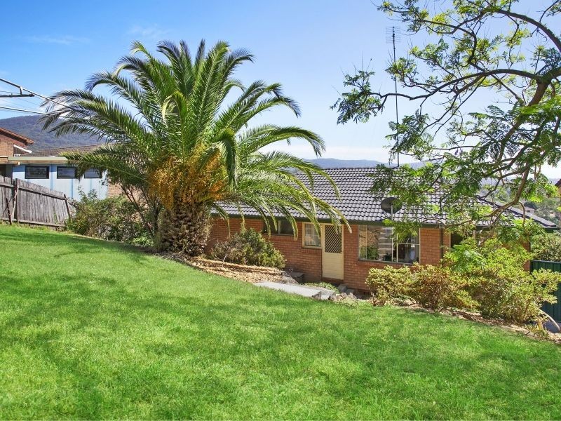 53 Iola Avenue, Farmborough Heights NSW 2526