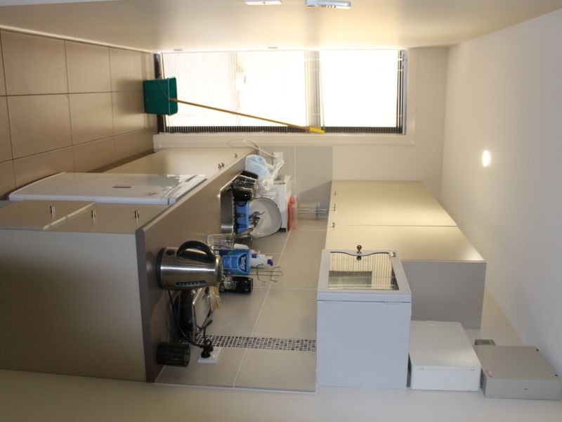 1/49 Nerang Street, Nerang QLD 4211