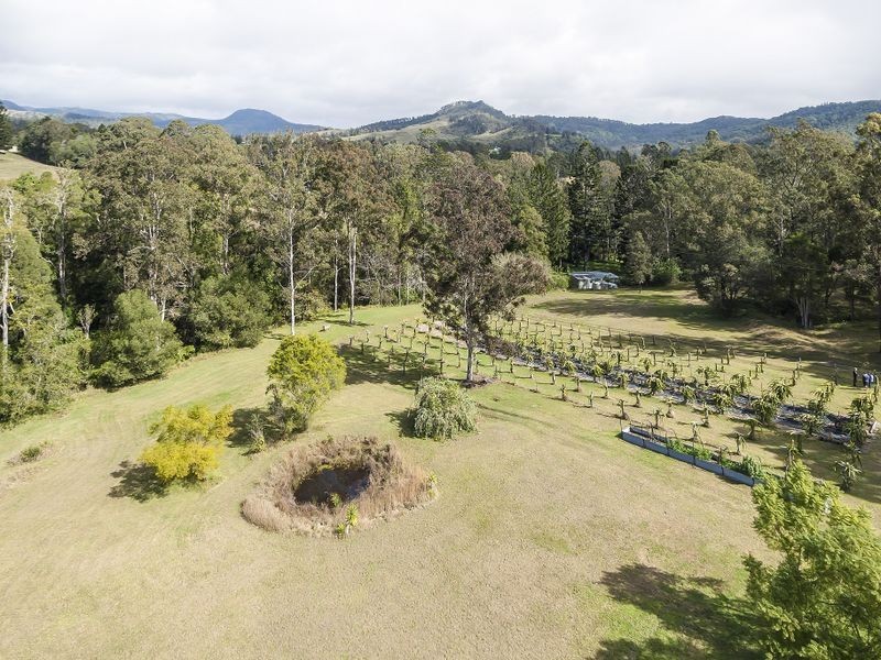 381/163 Upper Coomera Road, Canungra QLD 4275