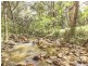 381/163 Upper Coomera Road, Canungra QLD 4275