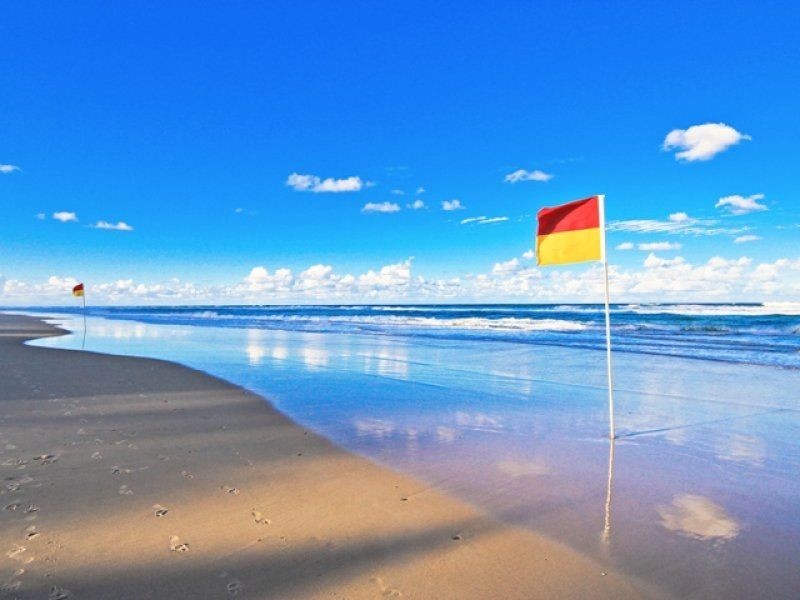 12/2 Elkhorn Avenue, Surfers Paradise QLD 4217