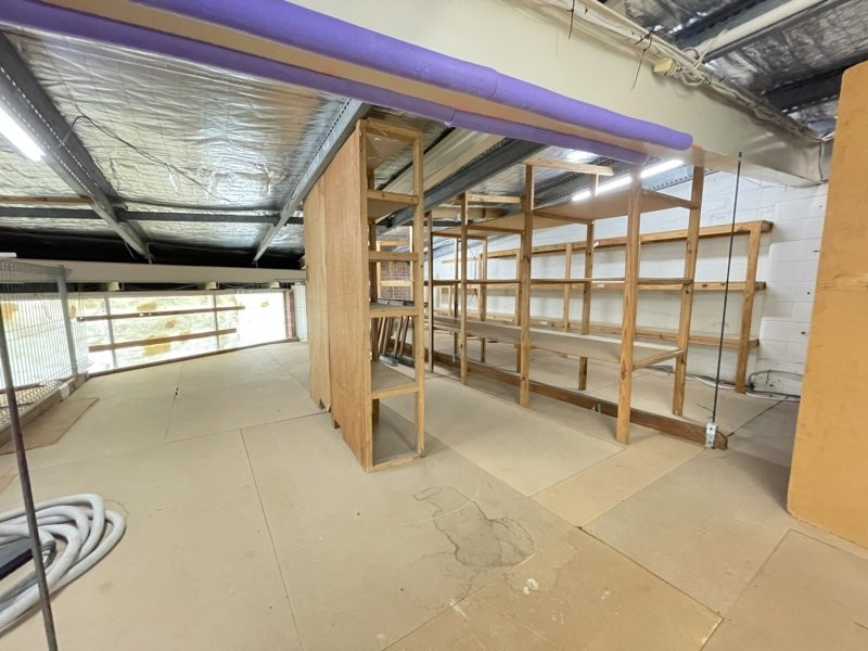 18 Strathaird Road, Bundall QLD 4217