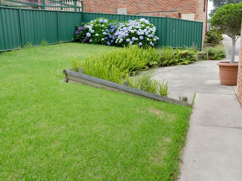 4/169 Princes Highway, Narooma NSW 2546