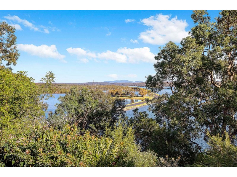 15 Flower Circuit, Akolele NSW 2546