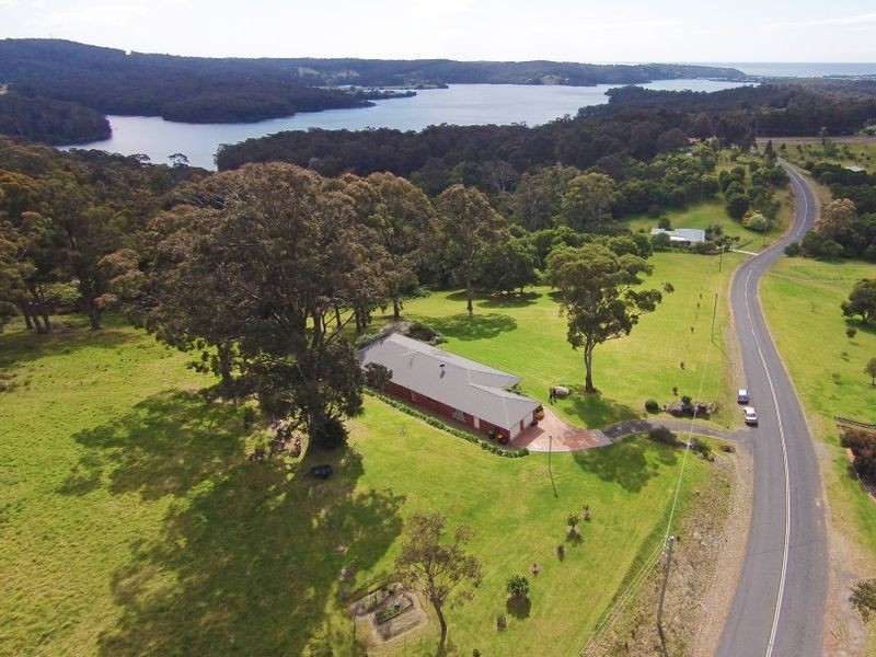 50 Rainforest Parkway, Narooma NSW 2546