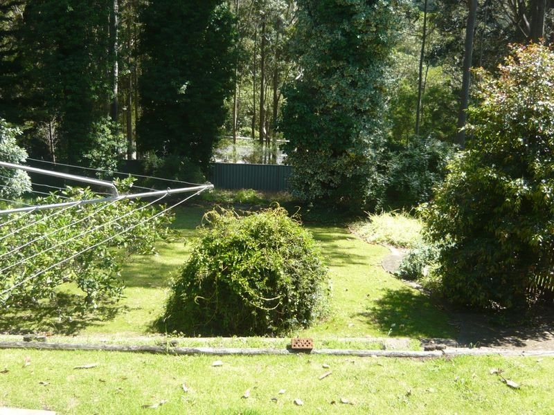 22 Hillcrest Avenue, Akolele NSW 2546