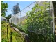 11 Taylor Street, Narooma NSW 2546