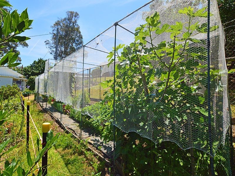 11 Taylor Street, Narooma NSW 2546