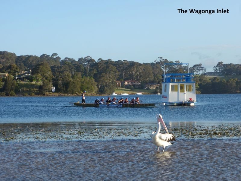 11 Taylor Street, Narooma NSW 2546