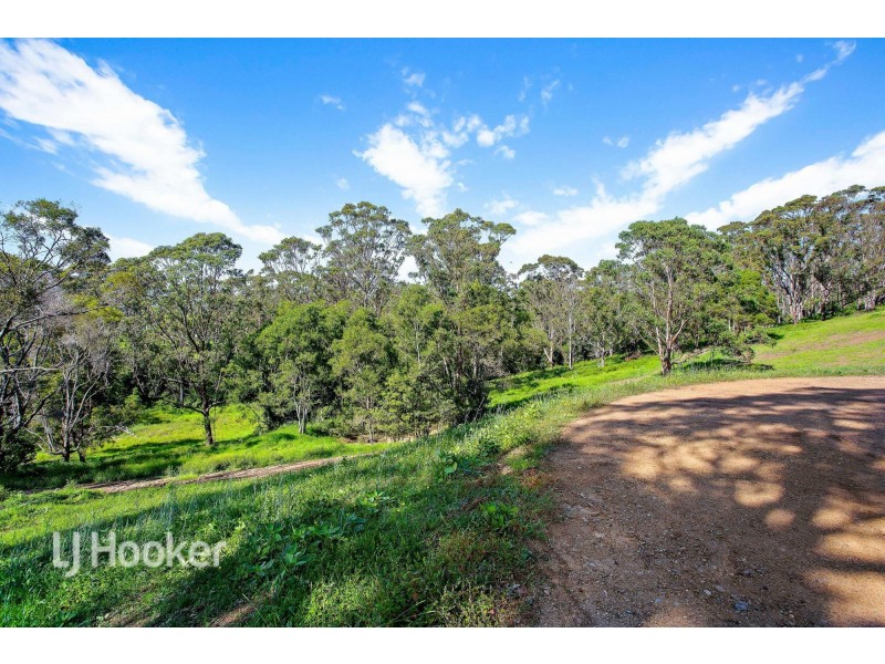 Lot 10/82 Wagonga Scenic Drive, Narooma NSW 2546