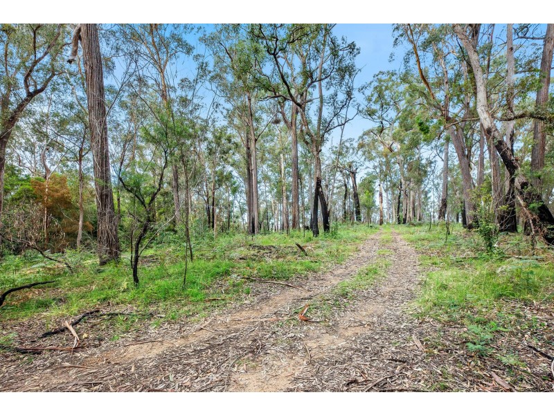 Lot 241/ Cobra Road, Narooma NSW 2546