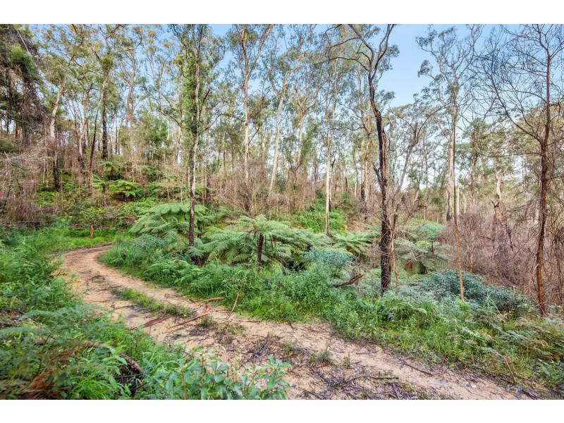 Lot 241/ Cobra Road, Narooma NSW 2546