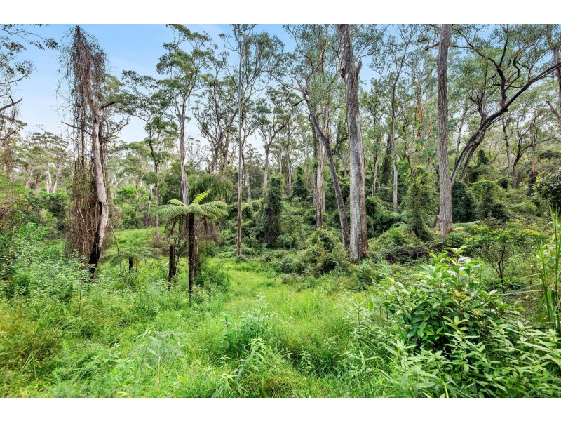 Lot 241/ Cobra Road, Narooma NSW 2546