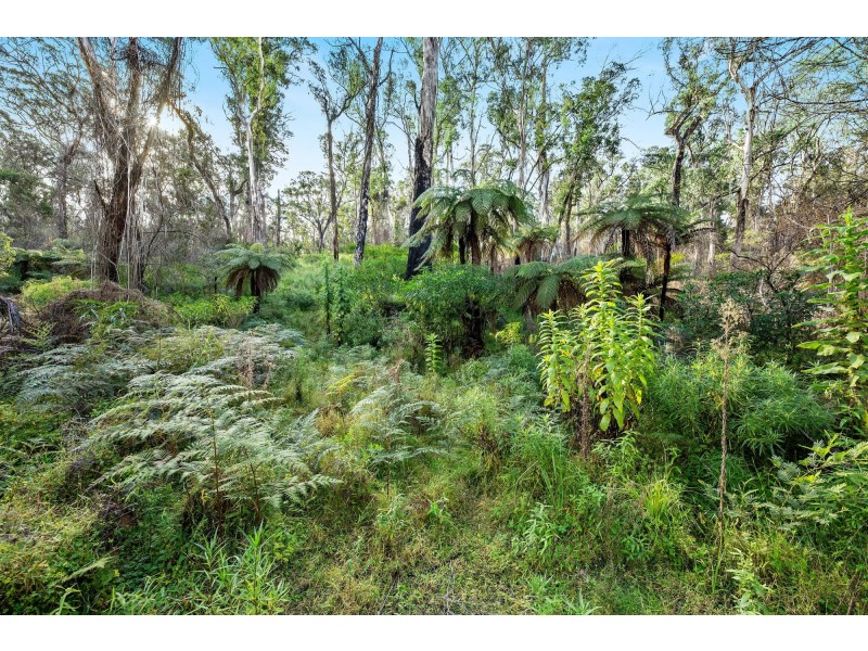 Lot 241/ Cobra Road, Narooma NSW 2546