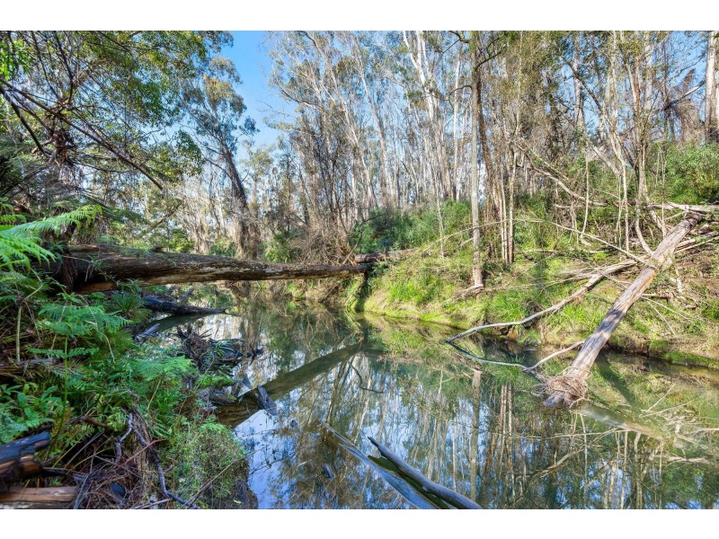 Lot 241/ Cobra Road, Narooma NSW 2546