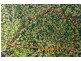 Lot 241/ Cobra Road, Narooma NSW 2546