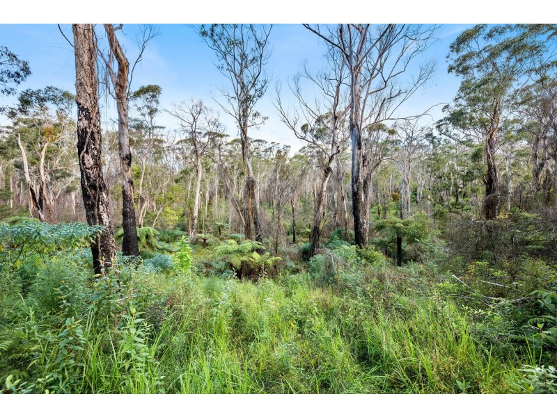 Lot 241/ Cobra Road, Narooma NSW 2546