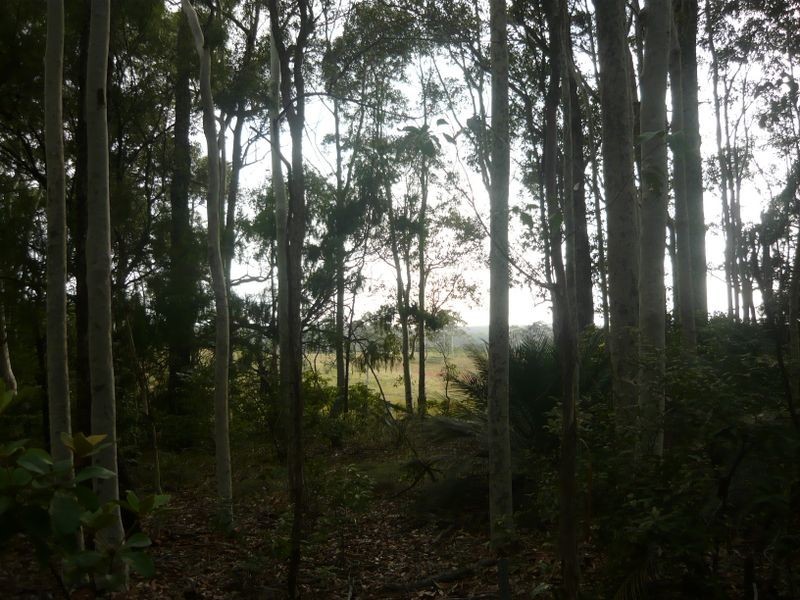 7510 Princes Highway, Narooma NSW 2546