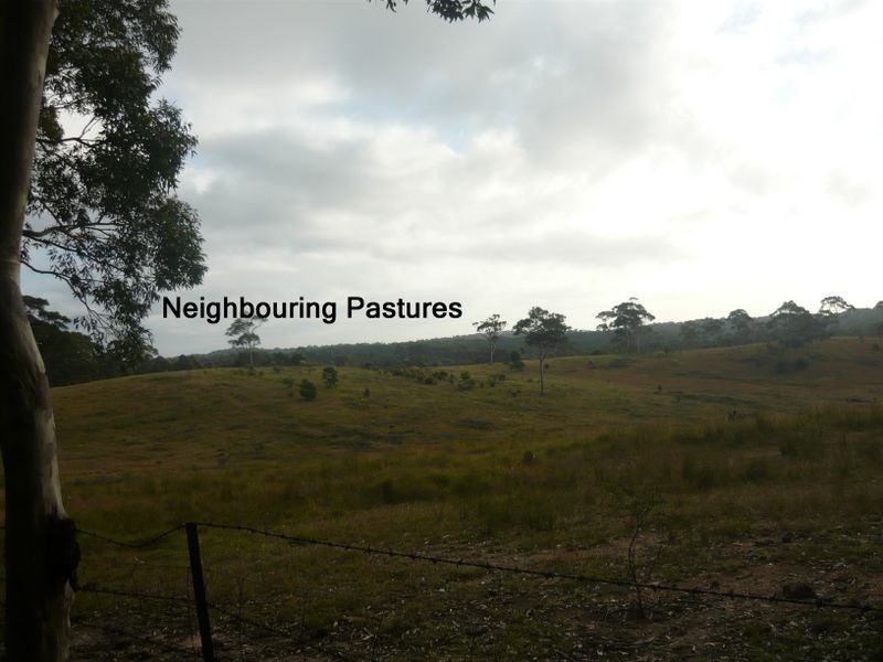 7510 Princes Highway, Narooma NSW 2546