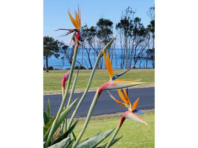 33 McMillan Crescent, Dalmeny NSW 2546