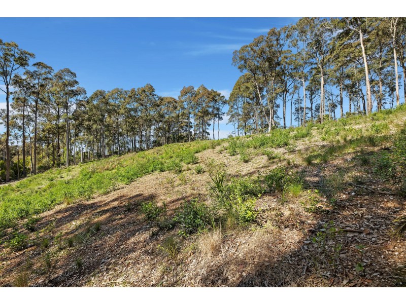 Lot 2/128 Wonga Road, Narooma NSW 2546